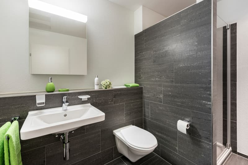 Attraktive Wohnung in Seenähe! (4)