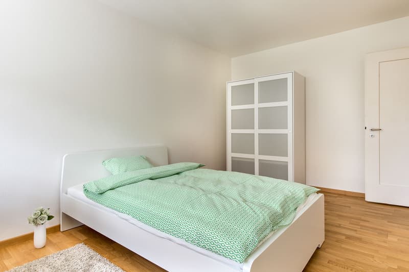 Delizioso appartamento di 3 locali cerca un nuovo inquilino - La tua nuova casa ti aspetta! (8)