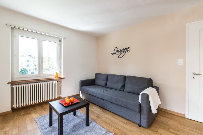 Delizioso appartamento di 3 locali cerca un nuovo inquilino - La tua nuova casa ti aspetta! (4)