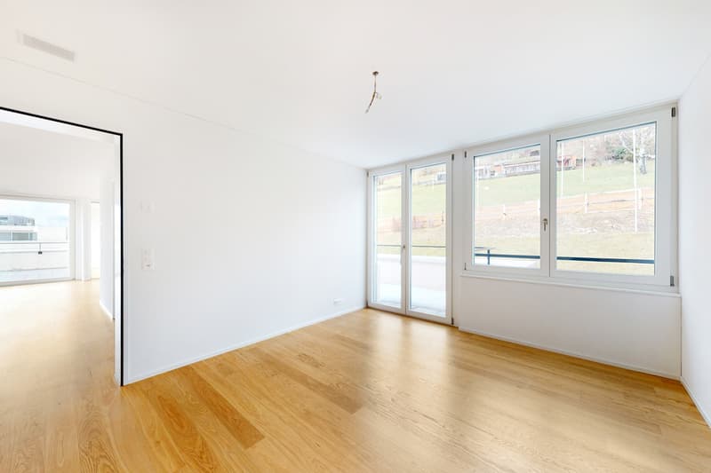 Dream apartment with lake view in Oberägeri (7)