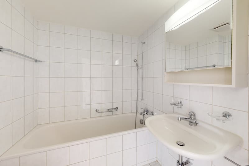 3.5-room apartment in the Schönbühl quarter (8)