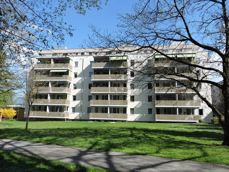 3.5-room apartment in the Schönbühl quarter (1)