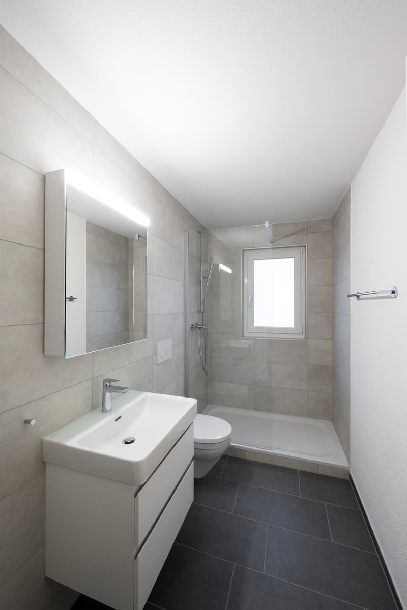 Freshly renovated feel-good object in the heart of Schlieren! (4)