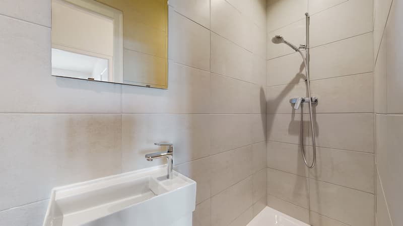 Un agréable logement à Chêne-Bourg (7)