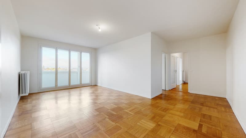 Un agréable logement à Chêne-Bourg (1)