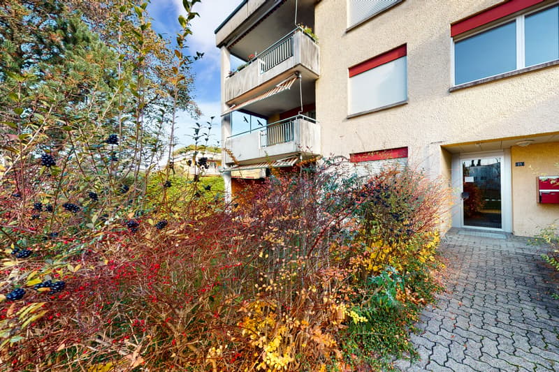 Gemütliche Wohnung in Bülach (2)
