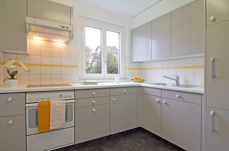 Charming apartment seeks new tenant (2)