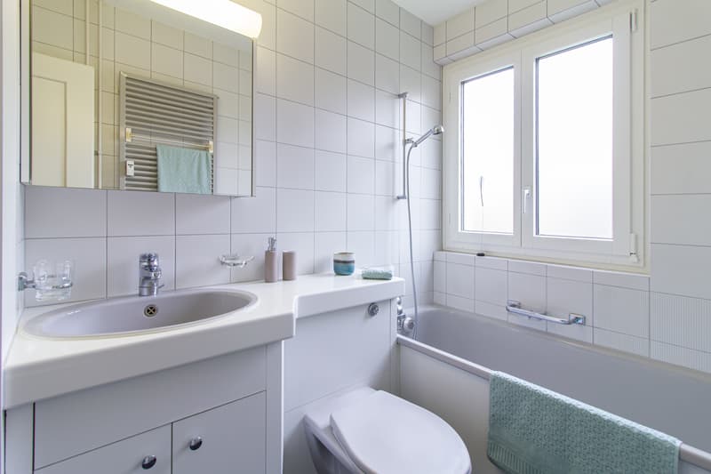 Charming apartment seeks new tenant (3)