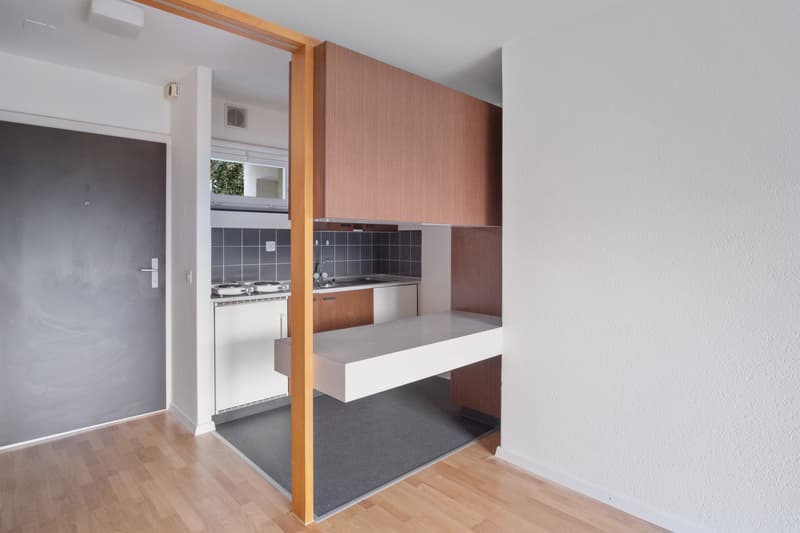 Central single apartment (6)
