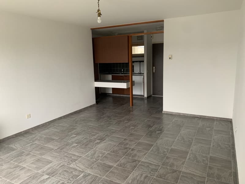 Central single apartment (2)