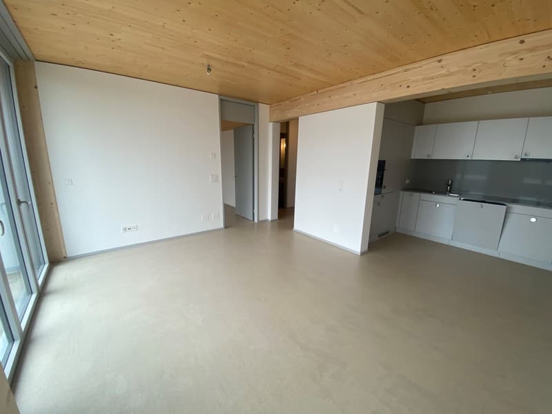 Beautiful apartment in KIM Winterthur (3)