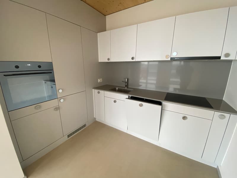 Beautiful apartment in KIM Winterthur (5)