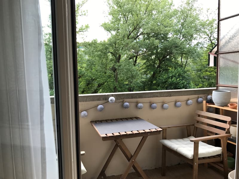Appartamento piacevole a Plainpalais (8)