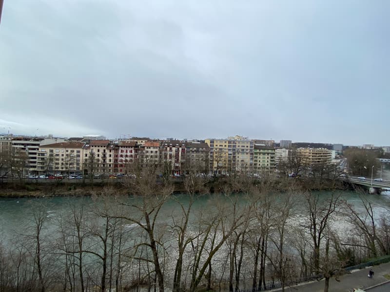 Appartamento piacevole a Plainpalais (3)