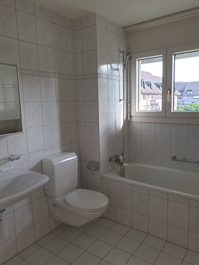 Tenant wanted: Living in the popular Kupferschmied Aarburg (10)