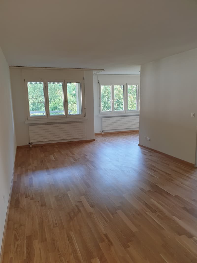 Tenant wanted: Living in the popular Kupferschmied Aarburg (4)