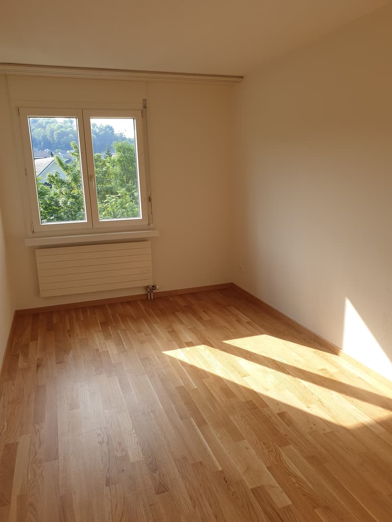 Tenant wanted: Living in the popular Kupferschmied Aarburg (6)