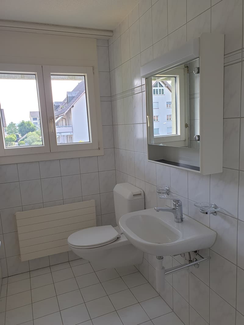 Tenant wanted: Living in the popular Kupferschmied Aarburg (11)