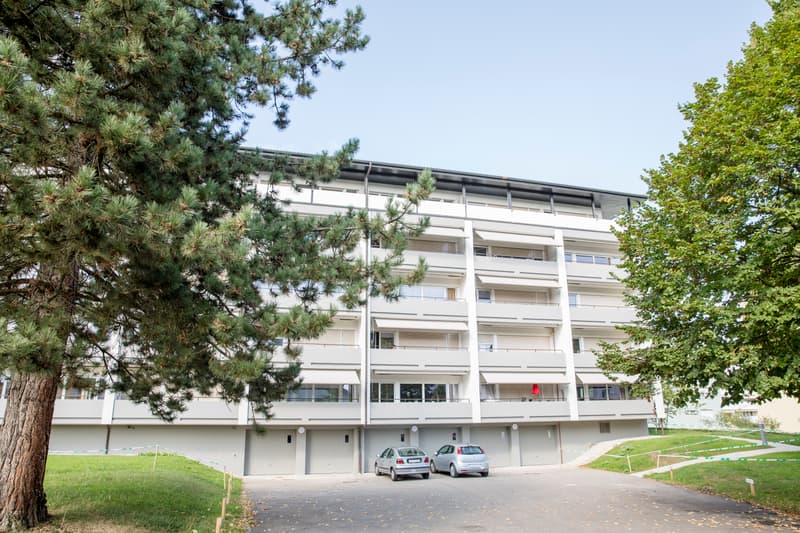 Benvenuti nella vostra nuova casa (1)