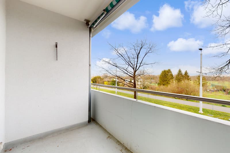 Schöner Wohnen in Riehen (5)