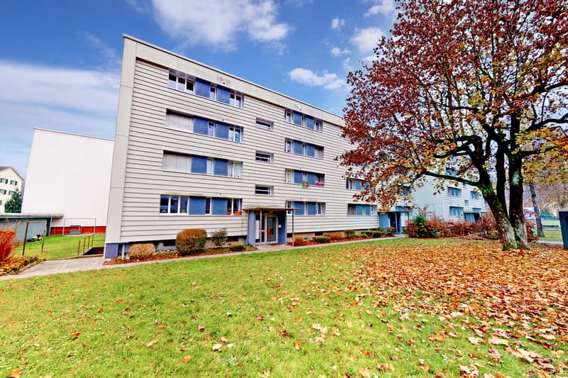 Ampio appartamento di 3 camere in un quartiere familiare! (8)