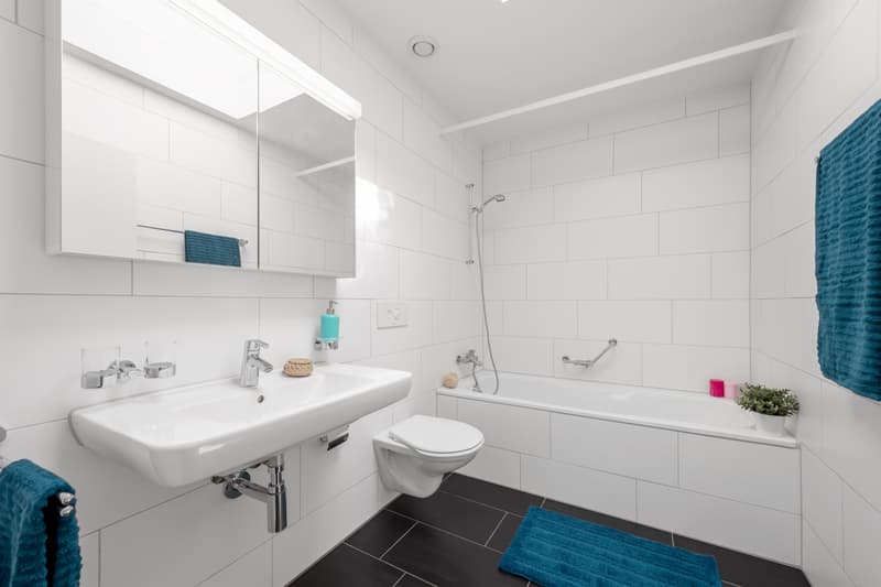 Modern apartment in a beautiful environment (7)