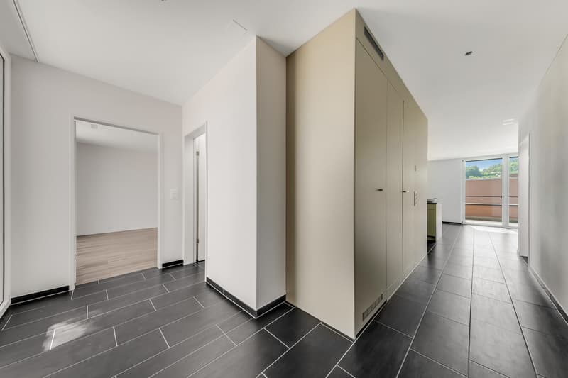 Modern apartment in a beautiful environment (8)
