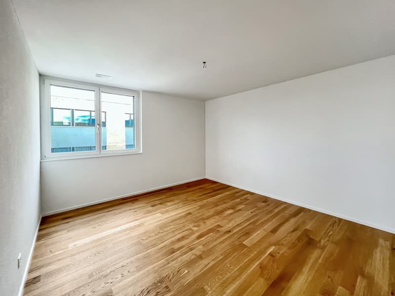 Appartement mansardé moderne (5)