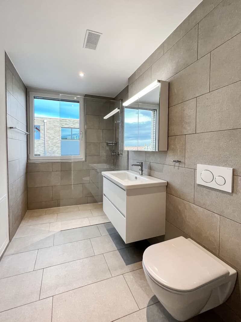 Appartement mansardé moderne (3)