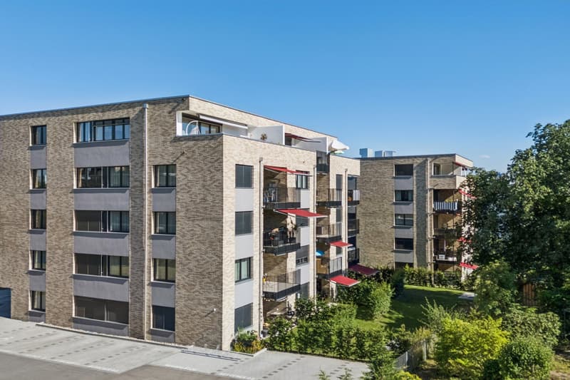 Moderne Attikawohnung mit grosszügiger Terrasse (2)