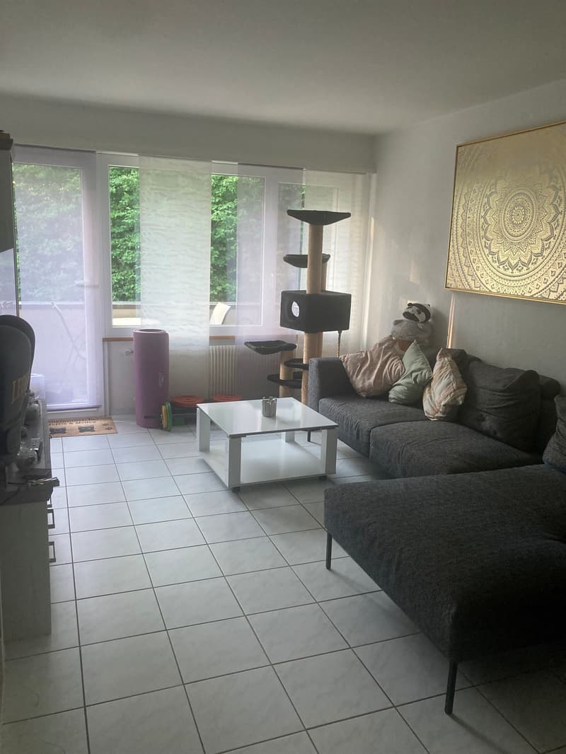 Sogno di casa a Ostermundigen (2)