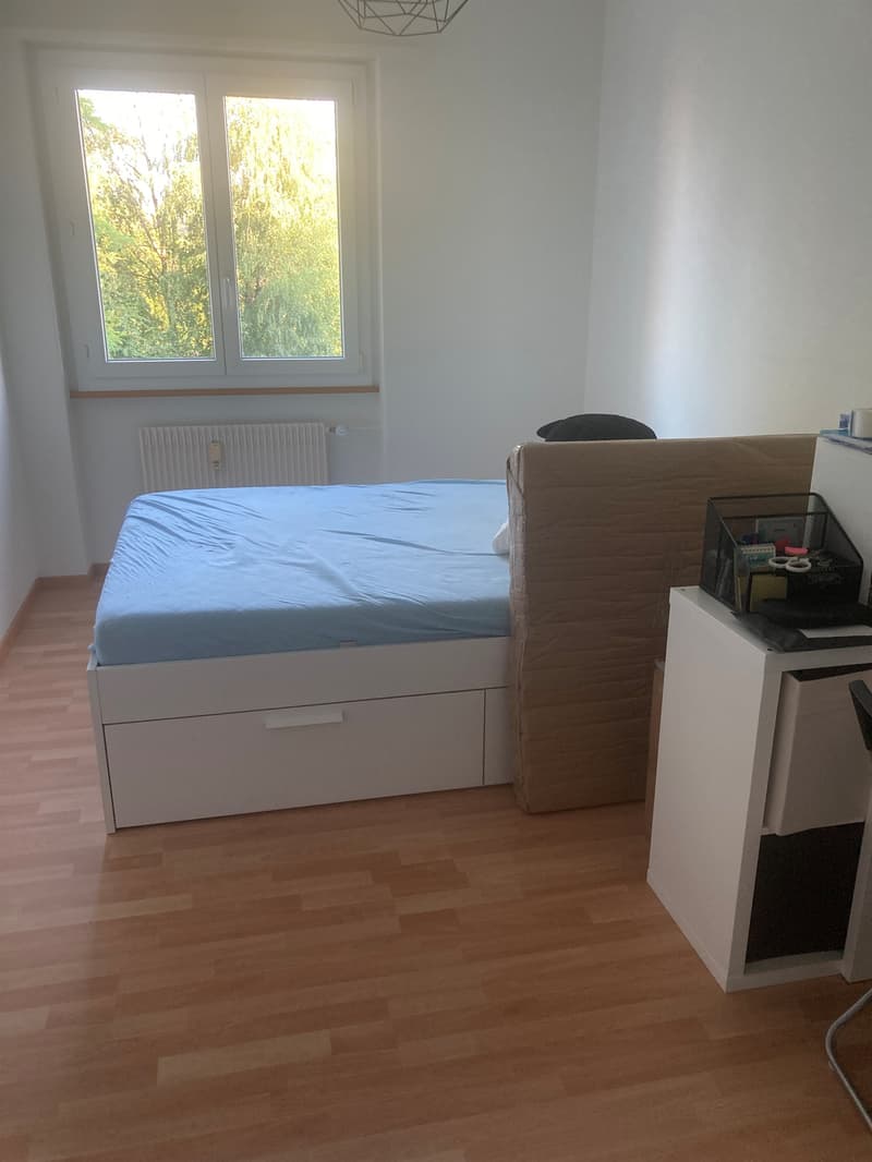 Sogno di casa a Ostermundigen (5)
