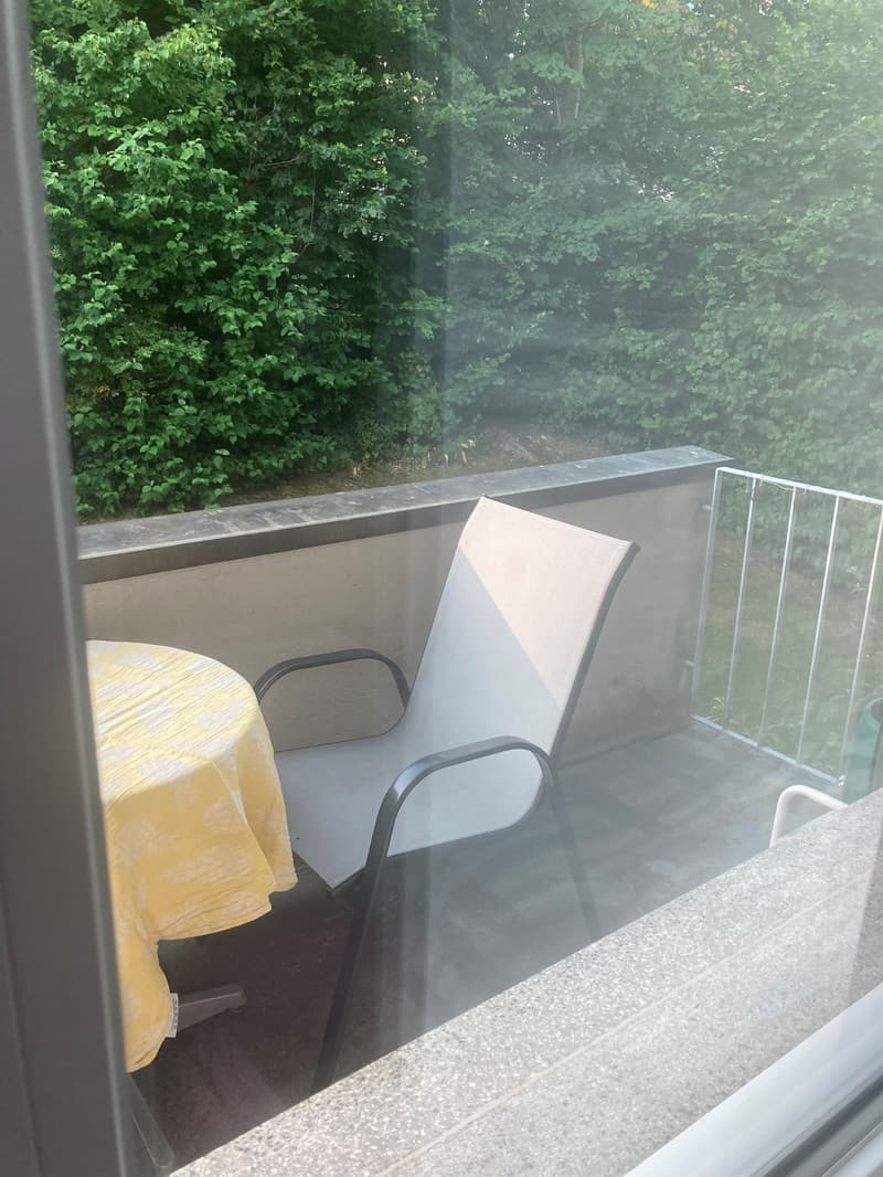Sogno di casa a Ostermundigen (9)