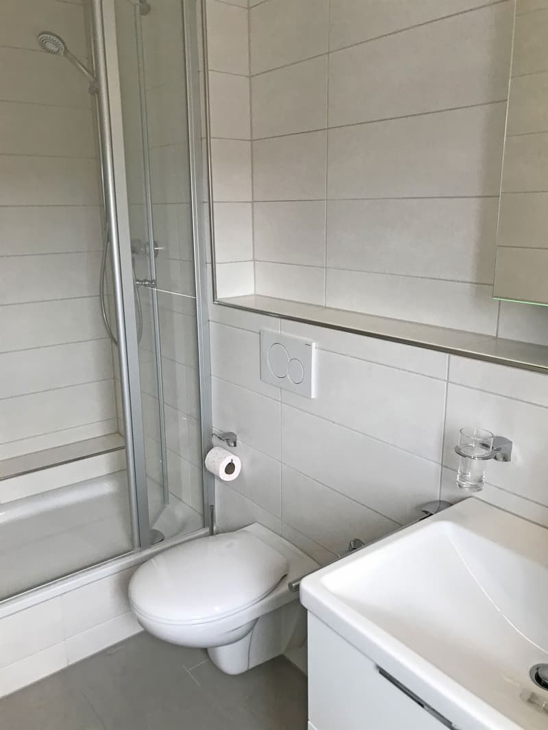 Singlewohnung an ruhiger Lage (4)