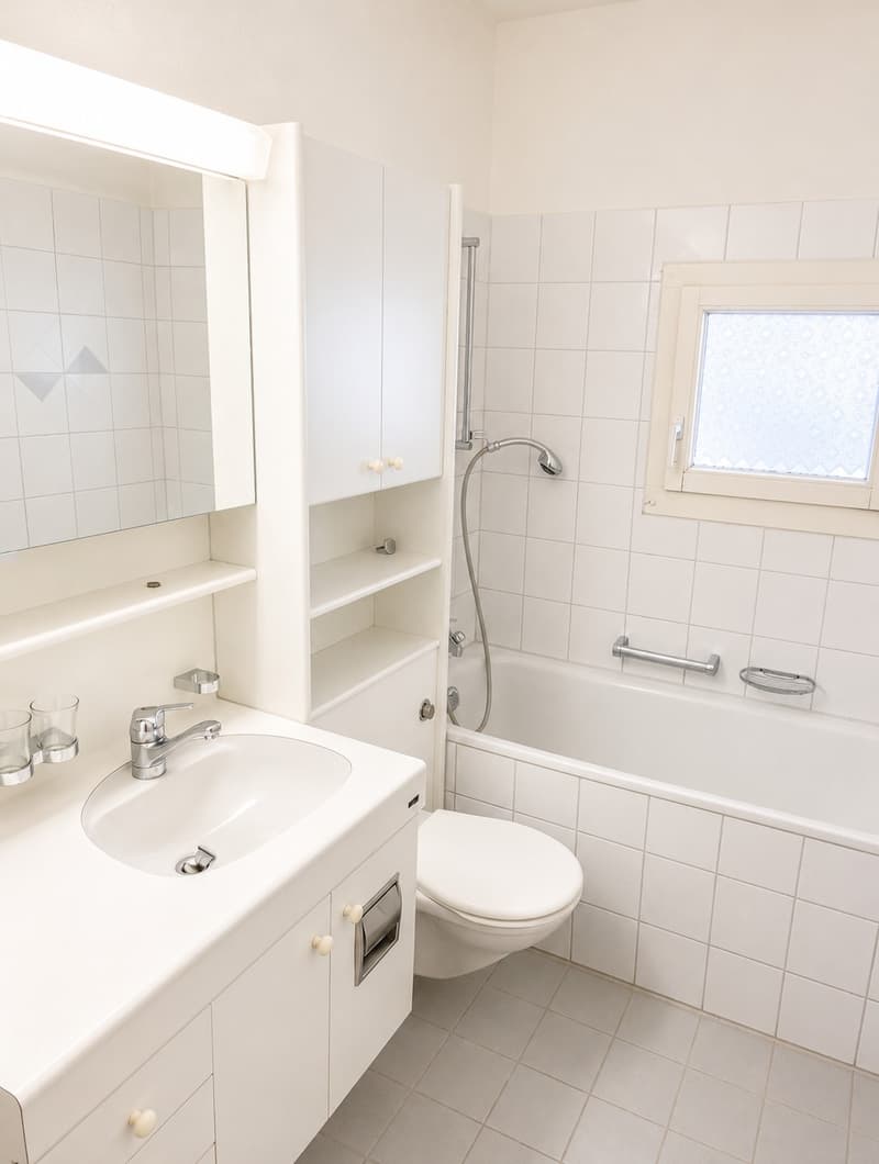 Charmante Wohnung zwischen Letzigrund & Hardplatz! (7)