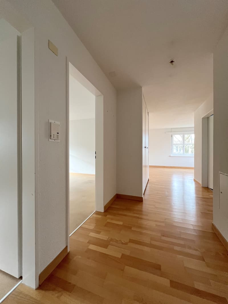 Ihr neues Zuhause nahe dem Zürichsee grosszügig und charmant (2)