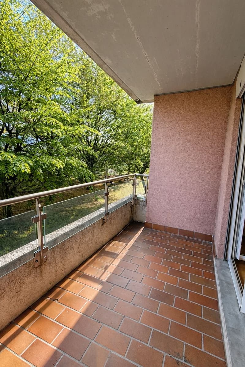 Cercasi appartamento esclusivo con posto a sedere in giardino? (9)