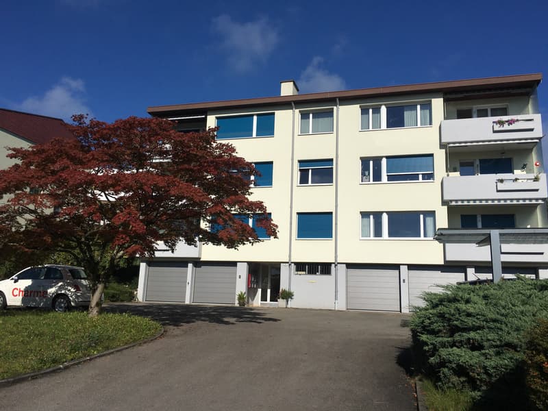 Living in a top location with a panorama of the lake and mountains (1)