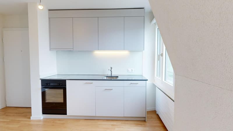 A mouse click to apartment happiness! (6)