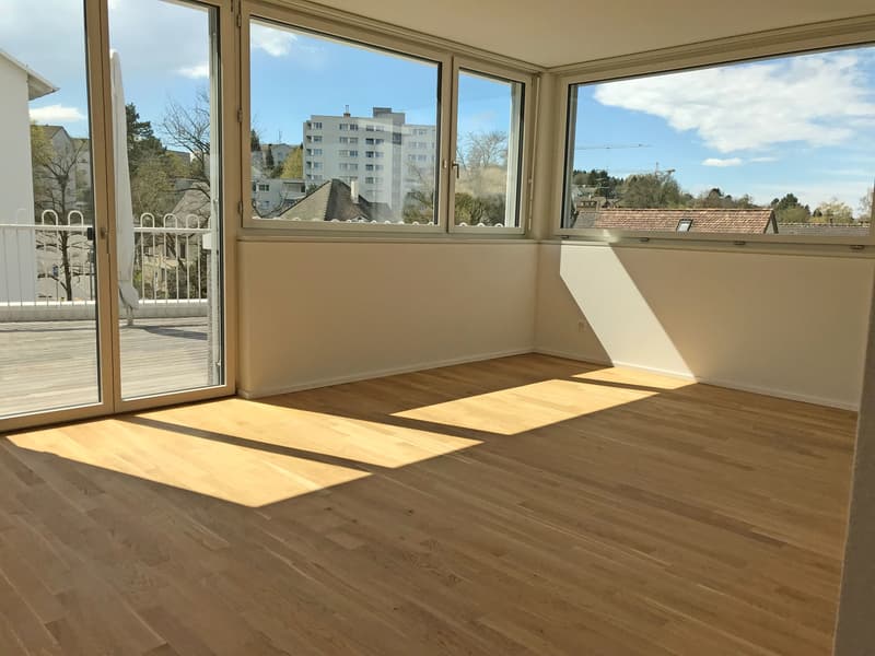 Beautiful Maisonette Apartment (3)