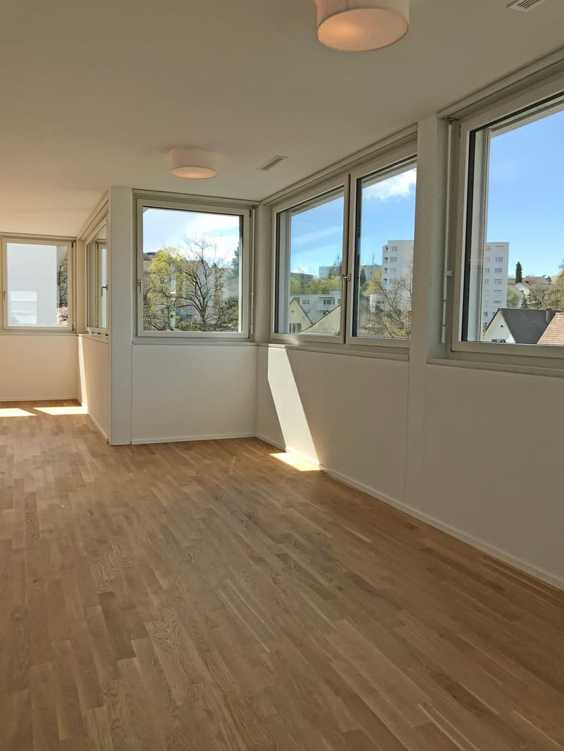 Beautiful Maisonette Apartment (4)