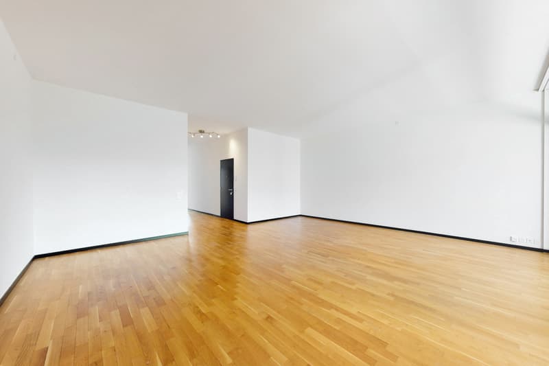 Exklusives Wohnen in Zürich Höngg! (4)