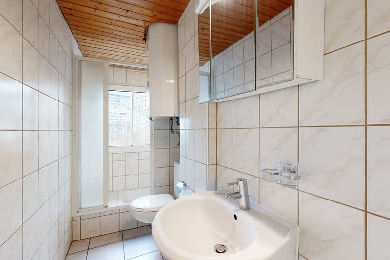 Ideale Singlewohnung (3)
