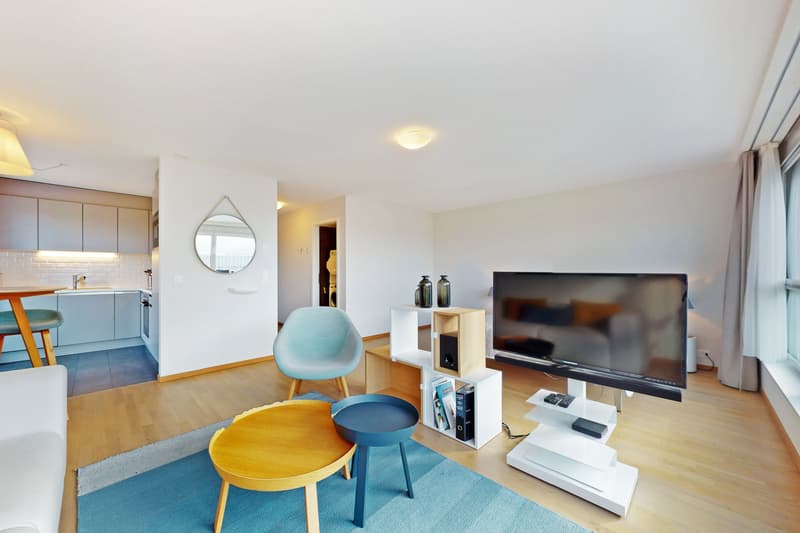 Stupendo studio in affitto (1)