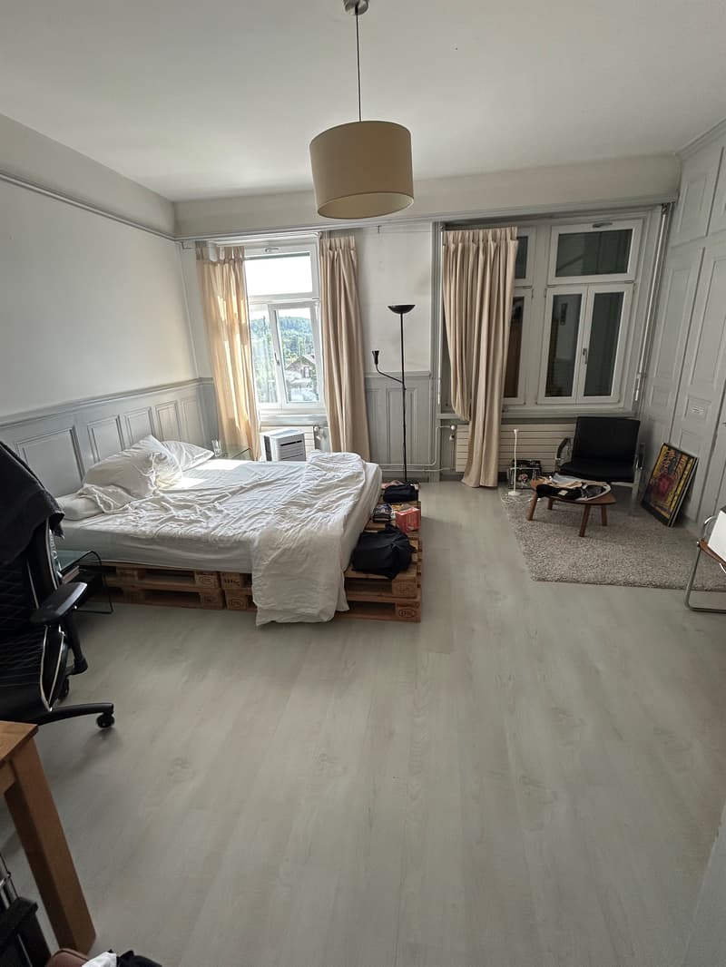 Grosszügige Wohnung direkt am Dornacherplatz sucht Sie. (5)