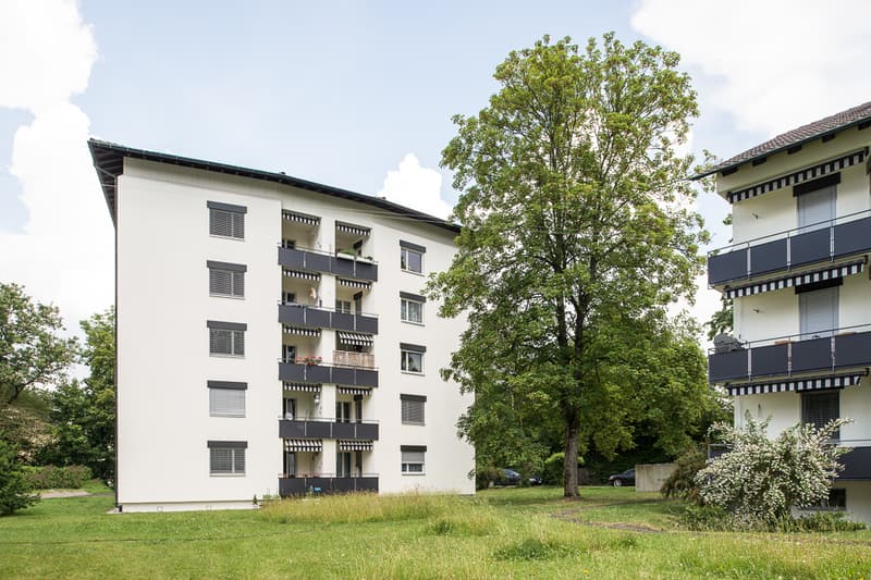 Ruhig aber zentral leben im Herzen von Schaffhausen! (2)