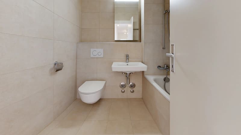 4 pièces entièrement rénové avec balcon (4)
