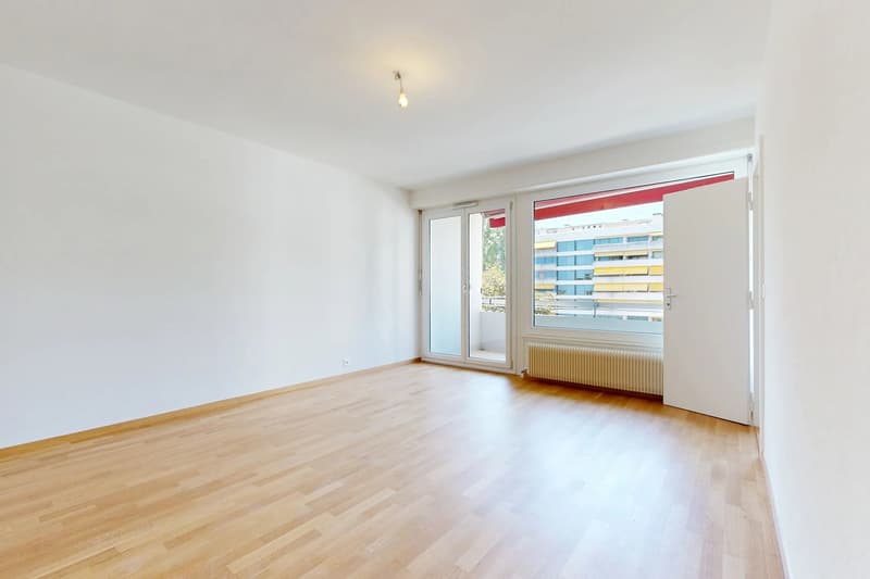 4 pièces entièrement rénové avec balcon (3)