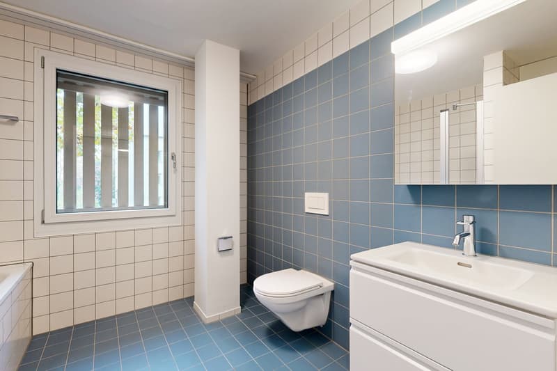 Ihre neue Wohlfühloase in Zürich-Wollishofen (5)