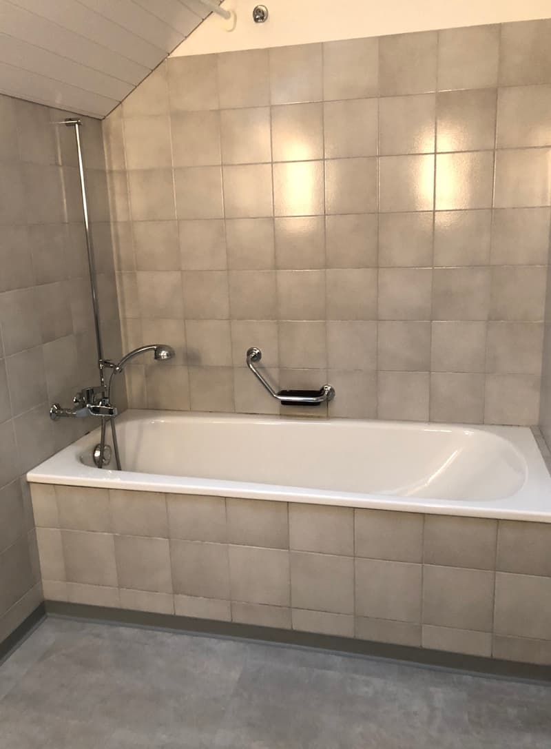 Appartement mansardé charmant à louer ! (4)